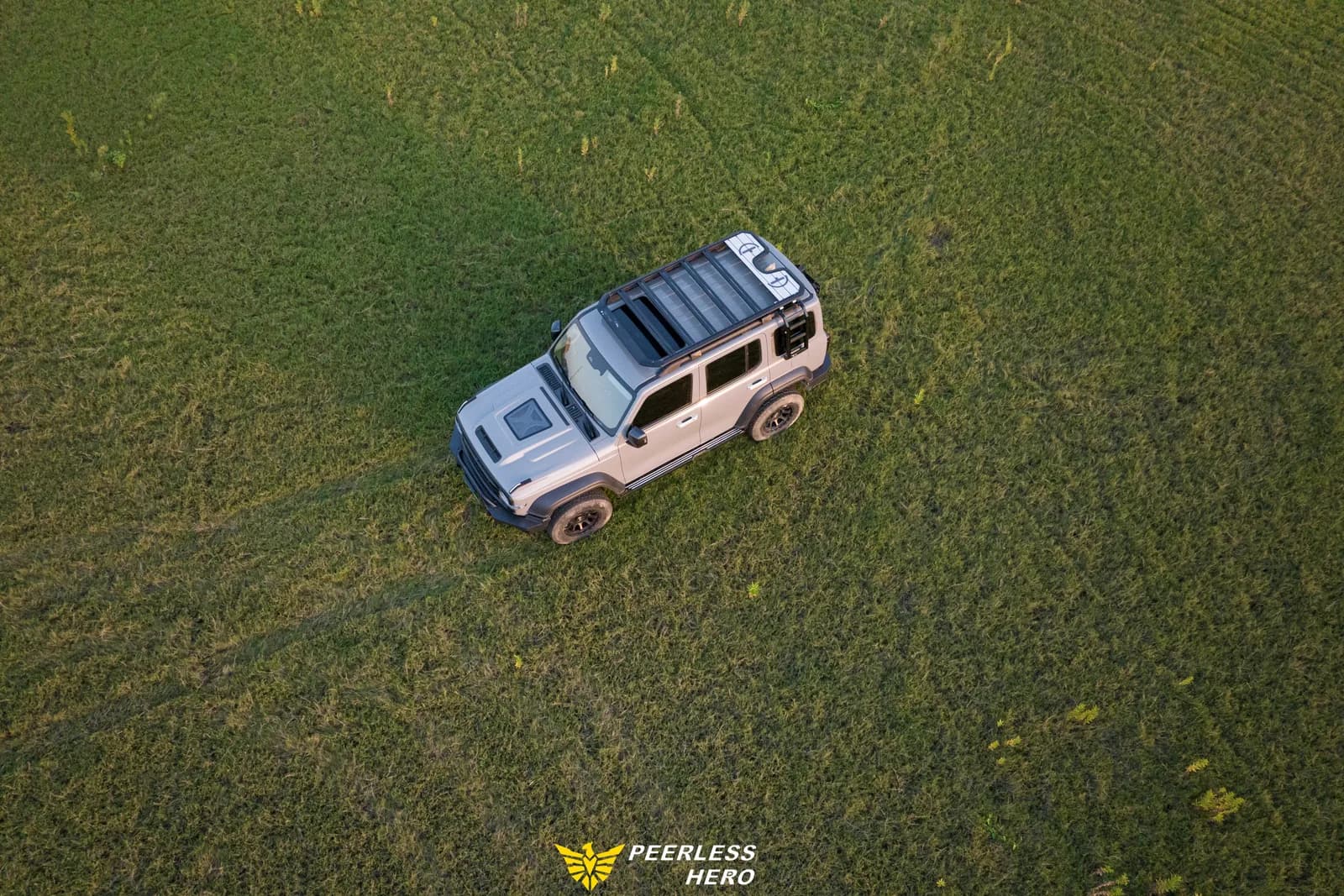 Tank 300 vehicle application scene