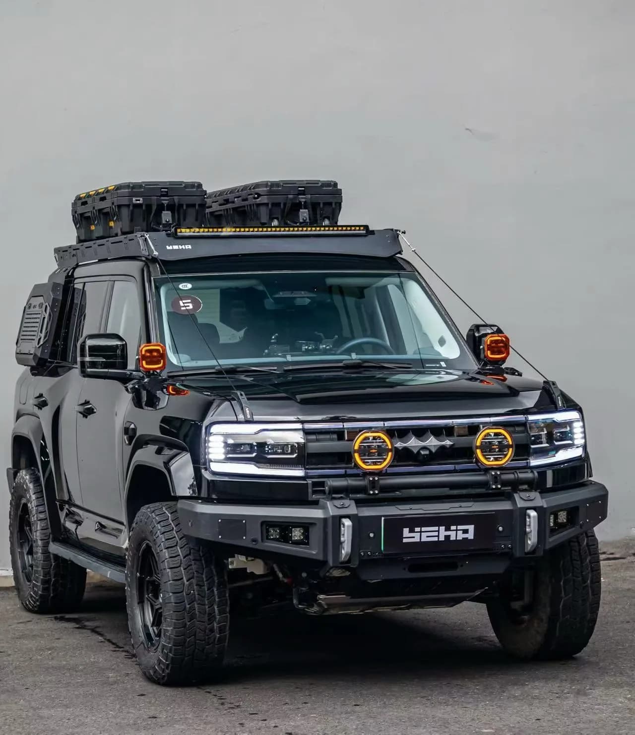 Fangchengbao vehicle application scene