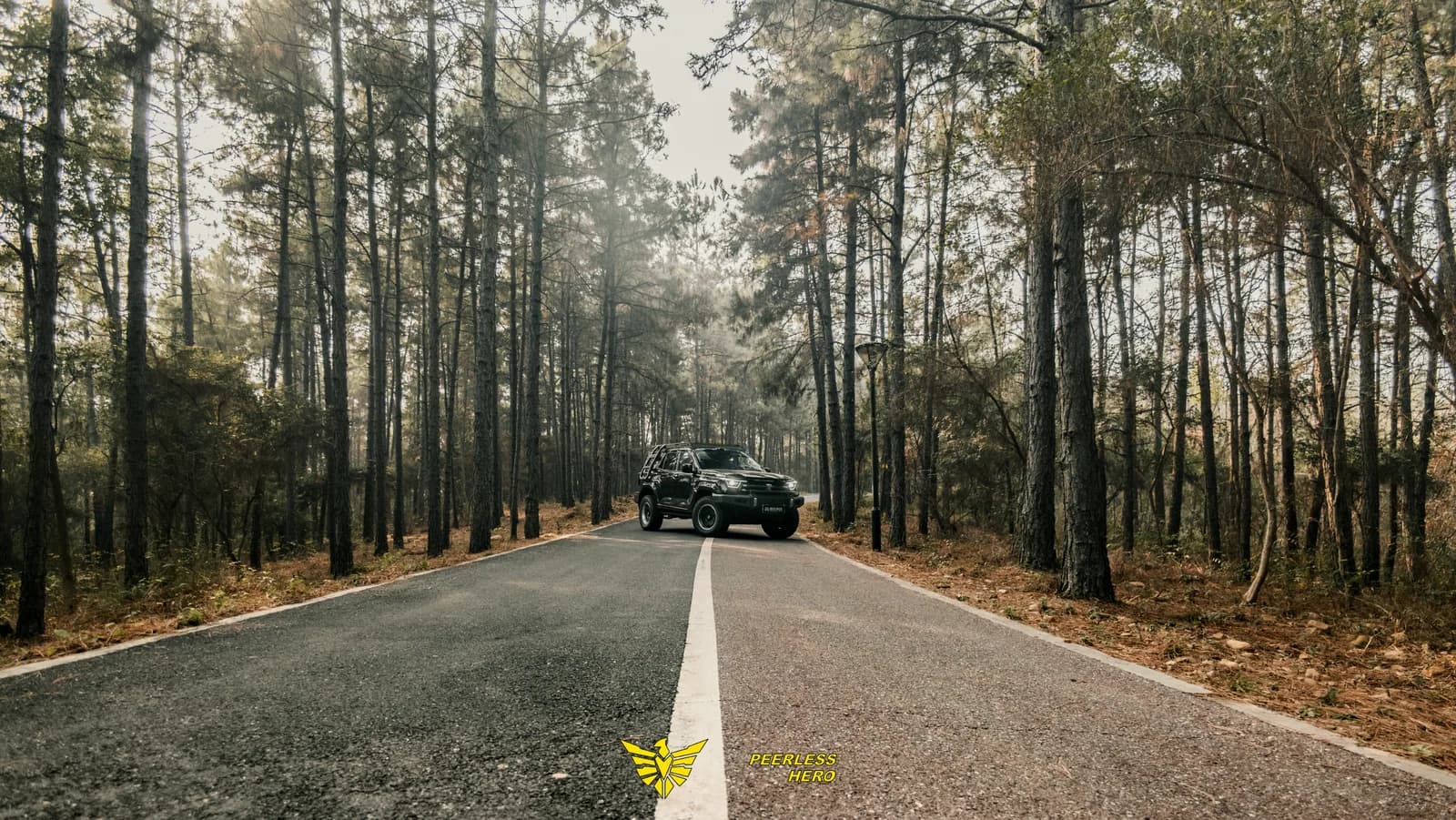 2026 Tank 400 vehicle application scene