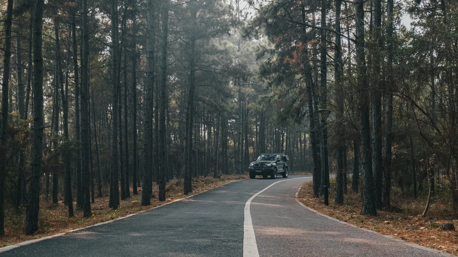 2026 Tank 400 vehicle application scene